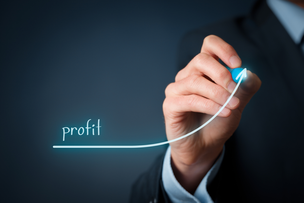 types-of-businesses-with-the-highest-profit-margins-building-a